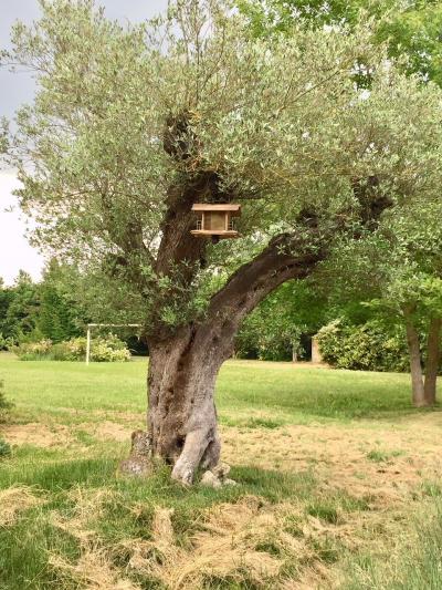 Immagine immobile