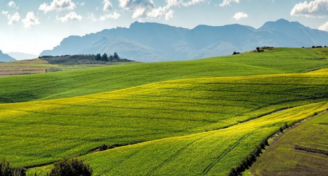 Immagine immobile