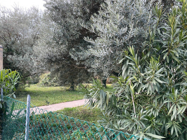 Immagine immobile