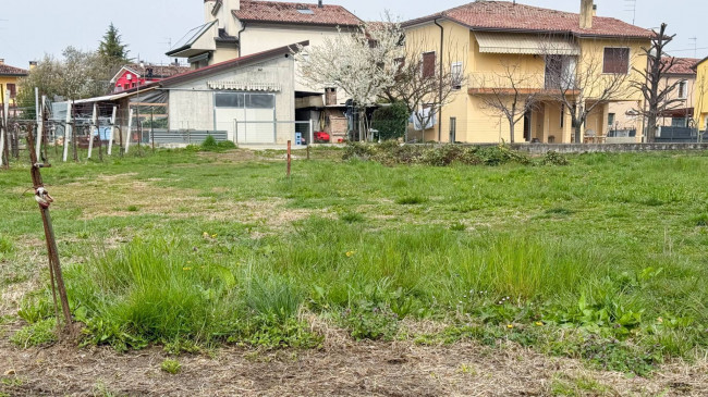 Immagine immobile