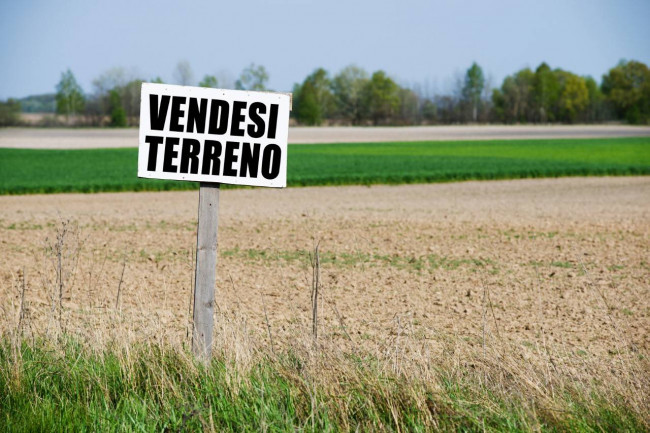 Immagine immobile