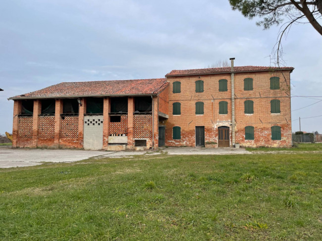 Immagine immobile