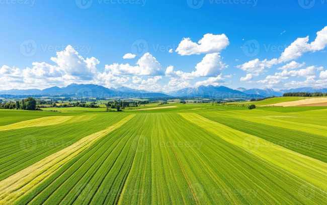 Immagine immobile
