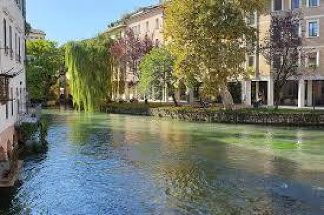 Immagine immobile