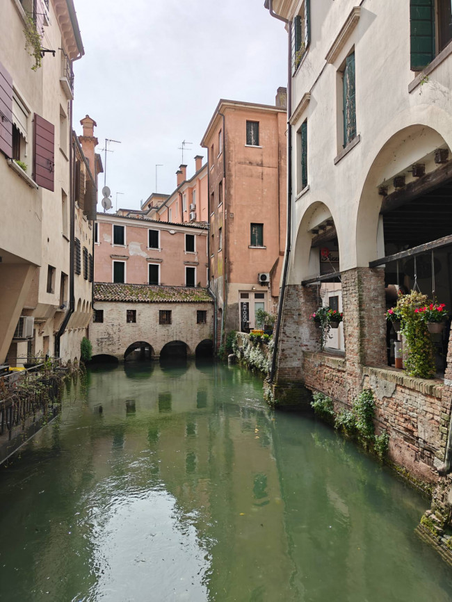 Immagine immobile